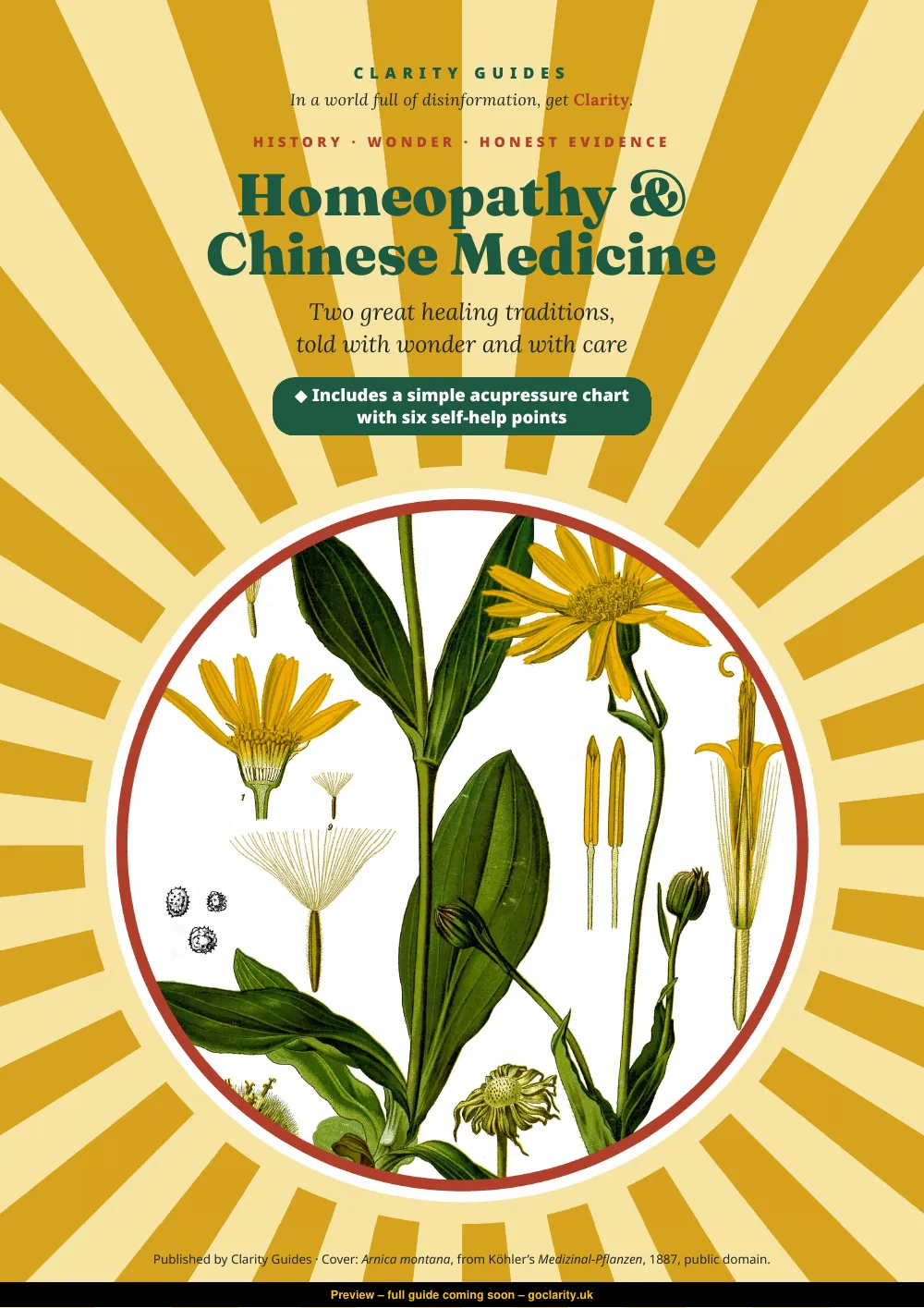 Homeopathy & Chinese Medicine, preview page 1